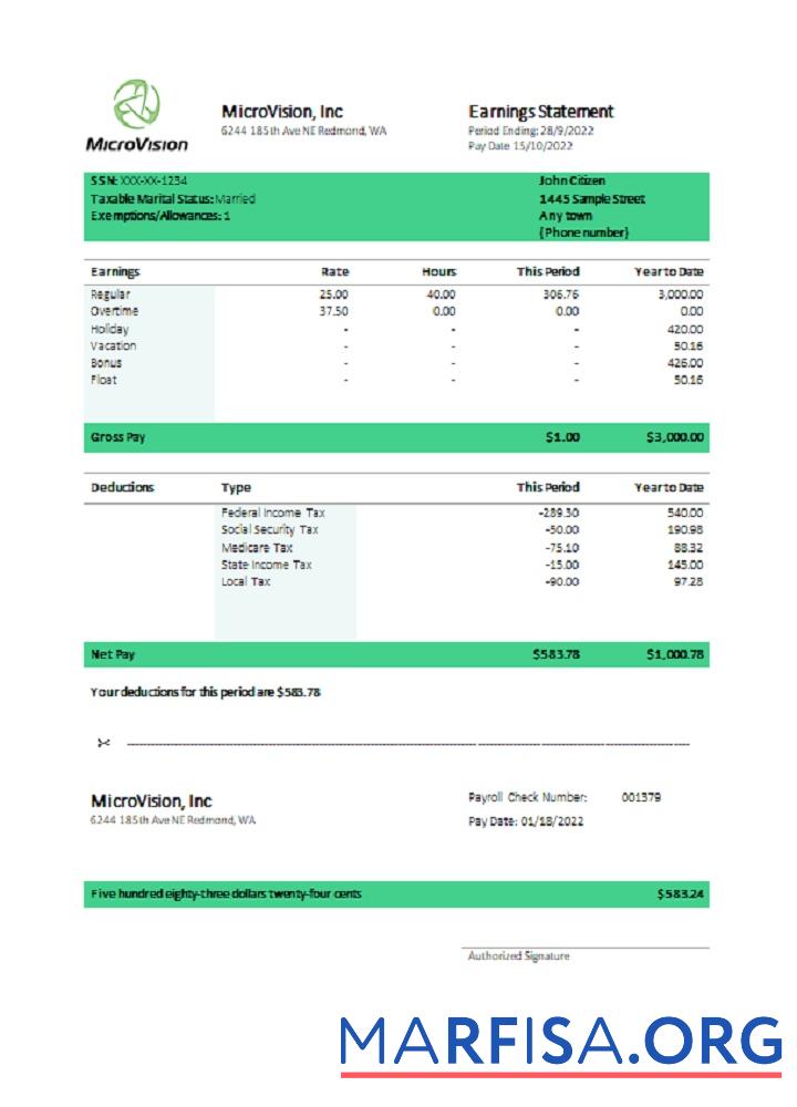 Blank USA MicroVision informational company pay stub download for verification
